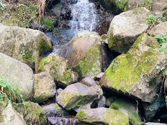 -藏龙百瀑风景区