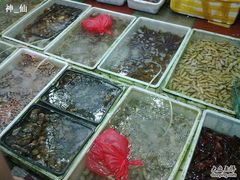 20100819161-湛江渔港·大排档(乐园路总店)