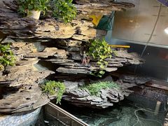 -山水茶艺馆·点心粤菜·30年老字号