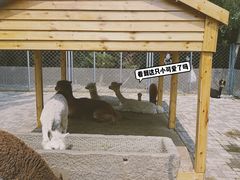 -长白岛森林公园