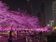 -西北湖绿化广场