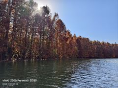 -上海海湾国家森林公园