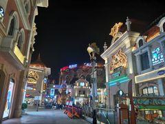 -常州环球恐龙城维景国际大酒店