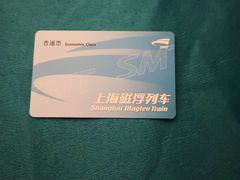 -龙阳路磁悬浮列车总站-停车场