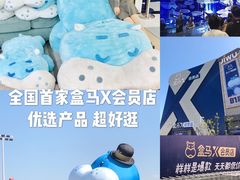 -盒马X会员店(上海森兰商都店)