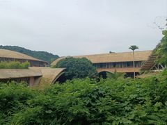 -海南槟榔谷黎苗文化旅游区