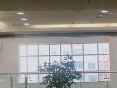 -中国医科大学附属盛京医院(滑翔院区)