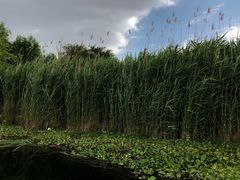 -大理洱源西湖景区
