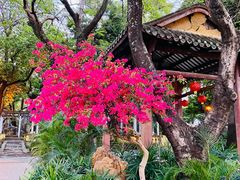 -水濂山森林公园