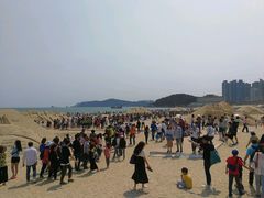 -海云台海滩
