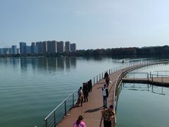 -暨阳湖生态园