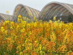 -中国天府农业博览园