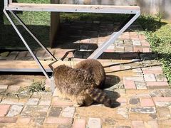 -青藏高原野生动物园