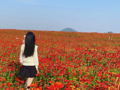 -六合国家地质公园桂子山景区