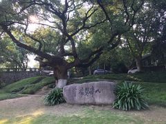 -中国美术学院象山校区-民艺博物馆