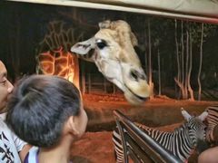 -清迈夜间动物园