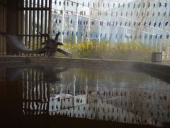 -中家鑫园温泉酒店鑫悦汤泉