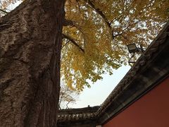 -北京颐和宾馆