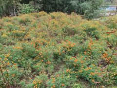 -沕沕水生态风景区