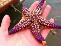 -东戴河风景区-止锚湾