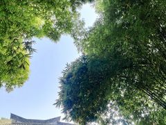 -拜将坛