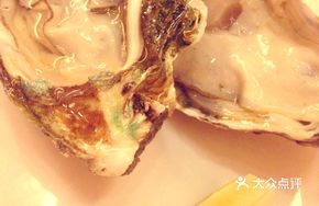 Fresh Live Oyster