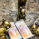 深圳春日美食&游玩｜带上这家面包店的奶油面包去仙湖野餐吧！