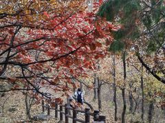 -北京十三陵国家森林公园蟒山景区