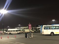 -迪士尼乐园停车场