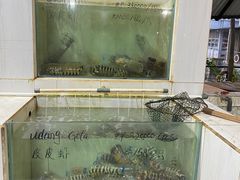 -海盗餐厅