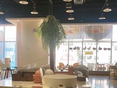 -藏猫猫咖啡主题馆(中央大道店)