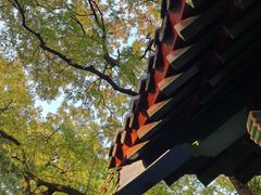-灵谷景区