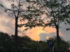 -阳台山森林公园