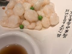 水晶河虾仁-三玛璐酒楼(汉口路店)