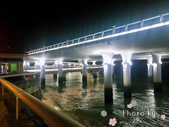 -演武大桥观景平台