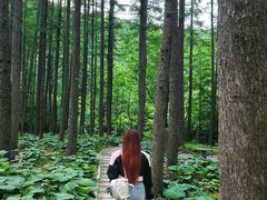 -洛阳白云山景区