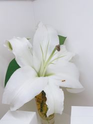 -美肤盾祛痘·问题肌头疗管理中心