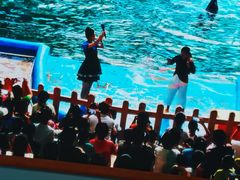 -烟台海昌鲸鲨海洋公园