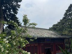 -潭柘寺景区