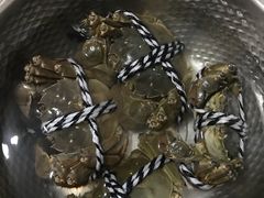 -小陆莲花蟹园农家乐(莲花岛店)