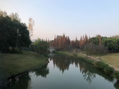 -眉山湿地公园(东坡区)