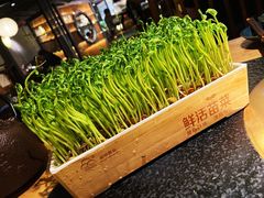 -湊湊火锅·茶憩(上海合生汇店)