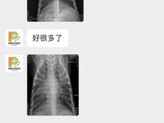 -瑞鹏宠物医院·猫科·宠保定点(梅溪湖分院)