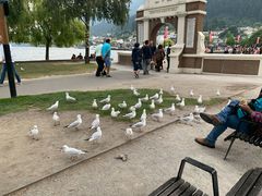 -Patagonia Chocolates(皇后镇店)