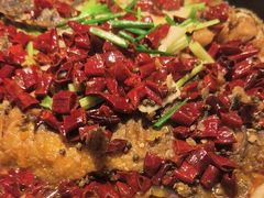 -老板恋上鱼(振华商厦店)