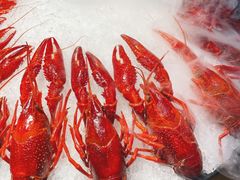 -阿甘龙虾·重庆麻麻鱼(中豪店)
