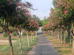 -武汉紫薇都市田园