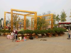 -秀丽东方