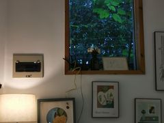 -COTTON CAFE(德信·中外公寓店)