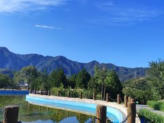-白水寺森林公园